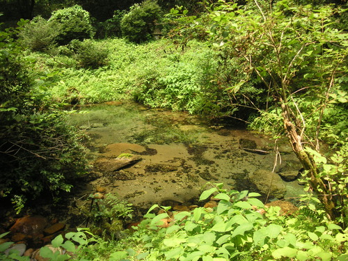 d0115997_2264412.jpg