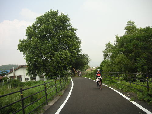 d0115997_236728.jpg
