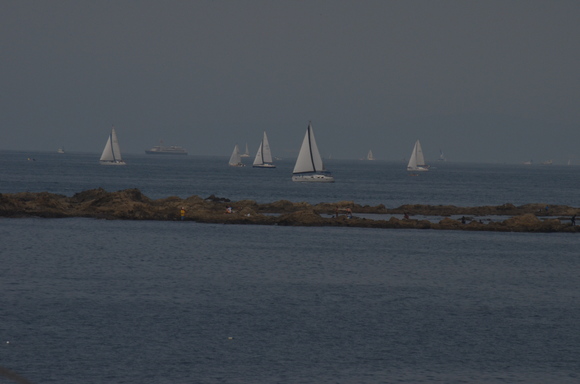 a0288500_11342688.jpg