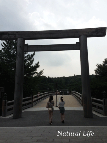 b0162000_527246.gif