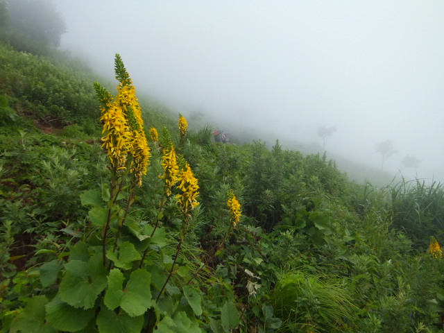a0271502_10305530.jpg
