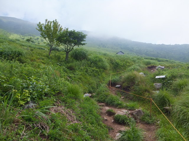 a0271502_10363737.jpg
