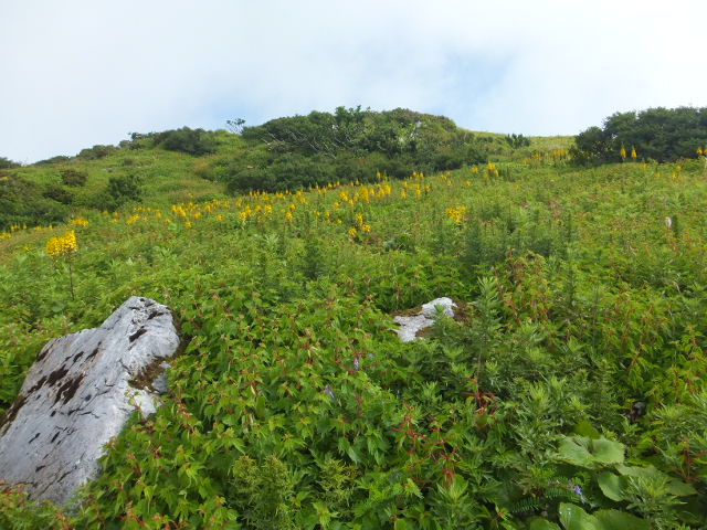 a0271502_8461329.jpg