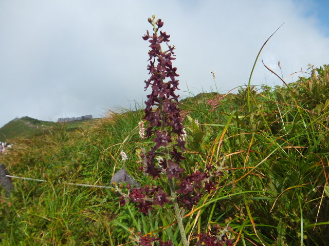 a0271502_8482342.jpg