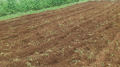 e0270403_126282.jpg