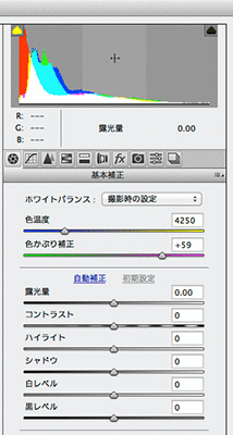 f0274403_1185548.gif