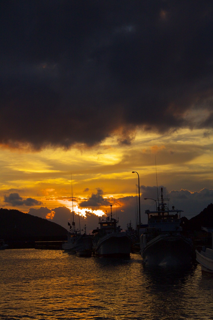 b0174905_644478.jpg
