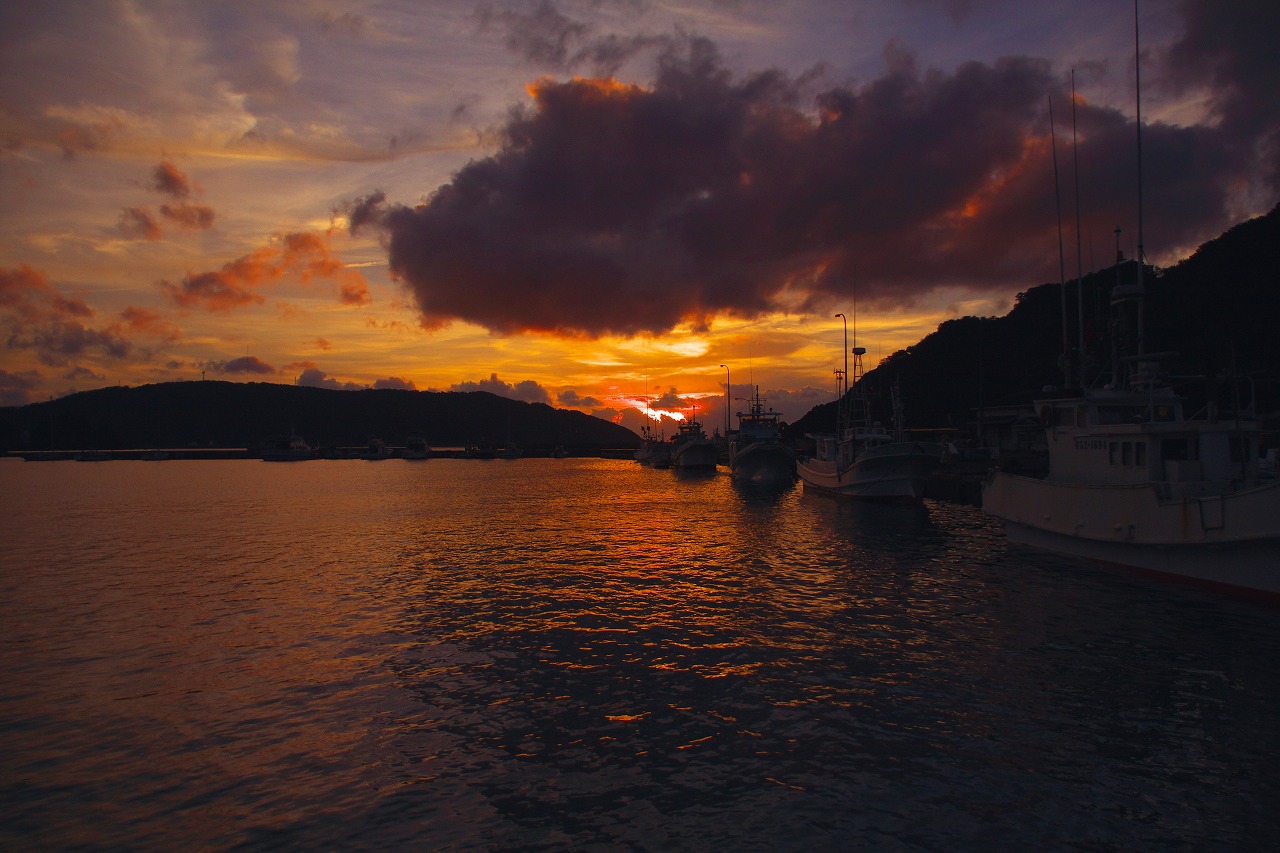 b0174905_6471788.jpg