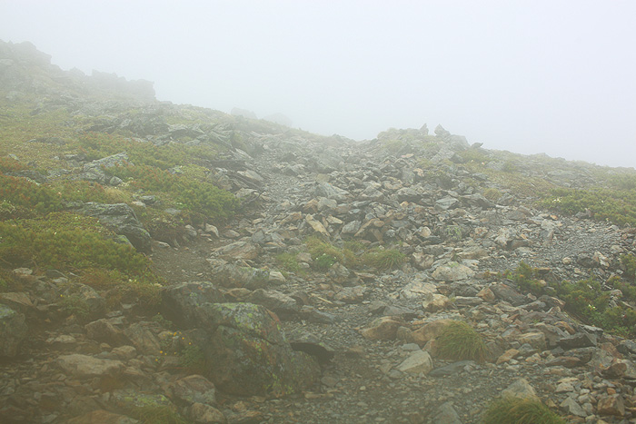a0148606_10345239.jpg
