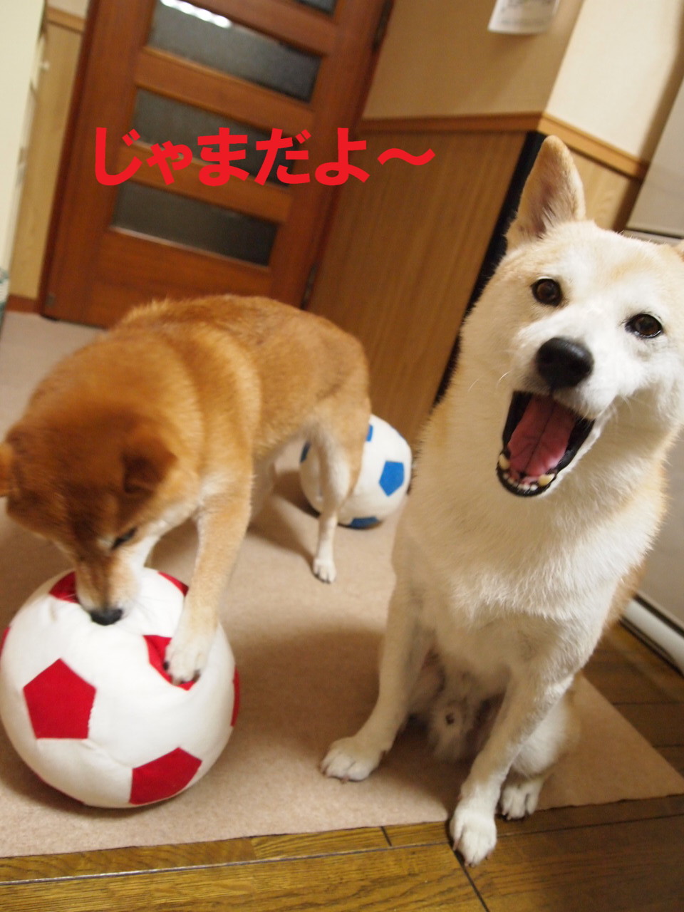 e0131506_17201518.jpg