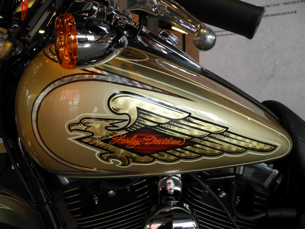 Harley Davidson FXDF_a0095515_11363777.jpg