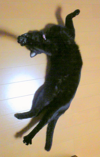 c0280322_16563325.jpg