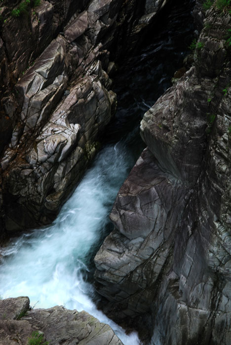 f0060531_13484284.jpg