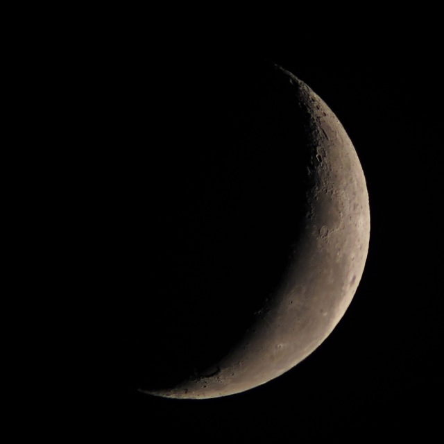 b0167343_0465283.jpg
