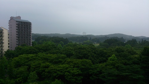 夏、夏、夏、夏、ココナッツ! ??_e0288544_13541275.jpg