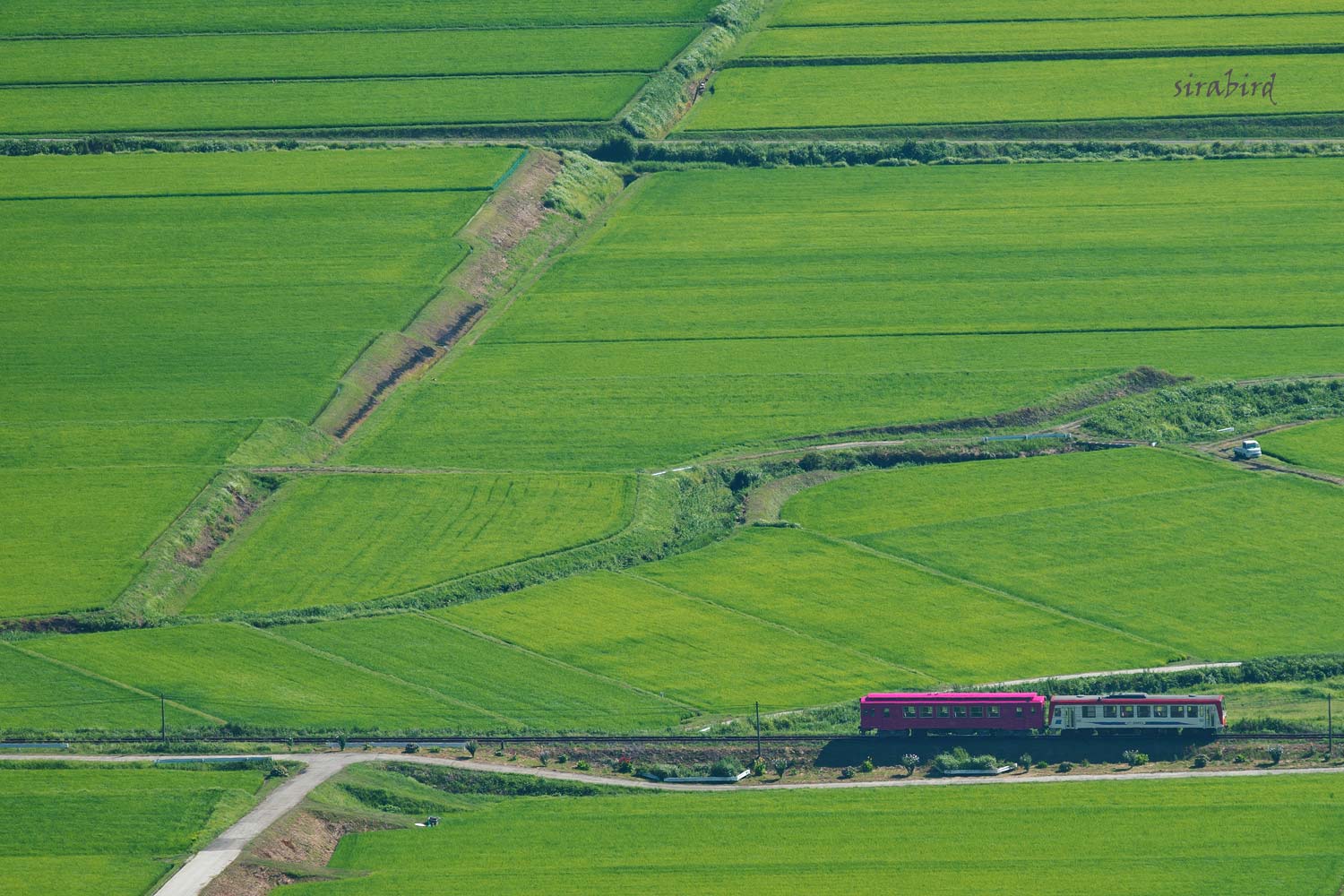 d0238245_10315561.jpg