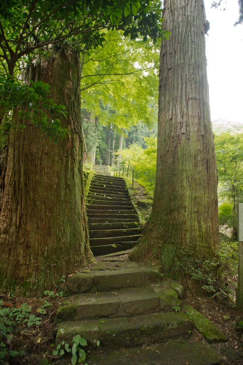 火男火賣神社 中宮 大分県別府市_b0023047_529552.jpg