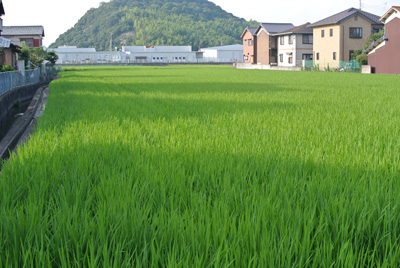 a0180549_9434644.jpg