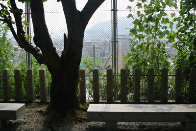 a0180549_951473.jpg