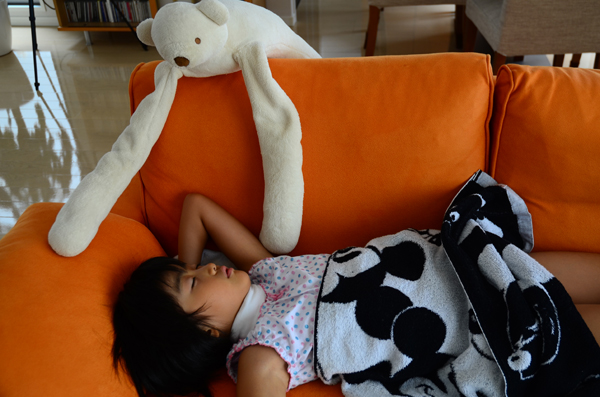 りんちゃんお泊り会 2013summer_b0016049_14463455.jpg