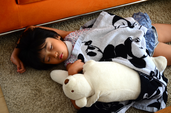 りんちゃんお泊り会 2013summer_b0016049_14463652.jpg