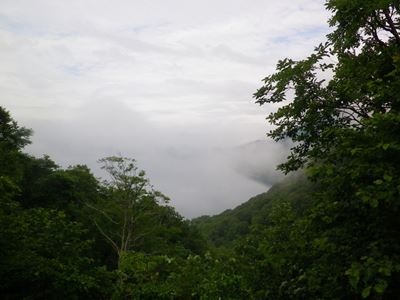 b0220251_19395846.jpg
