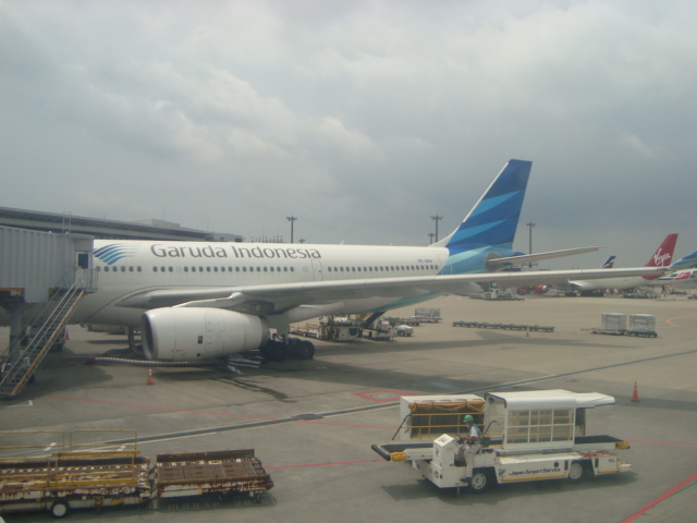 バリ島へ行く。① ~ひとり旅のはじまり~_f0232060_20251142.jpg