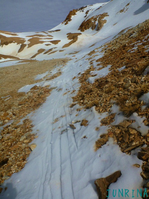 d0110562_6313612.jpg