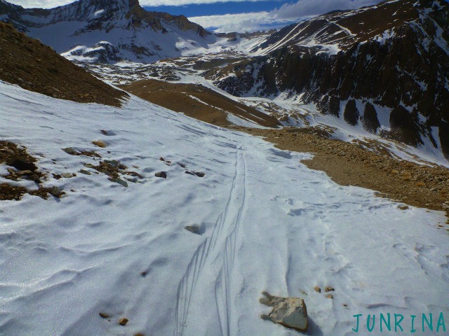 d0110562_6323845.jpg