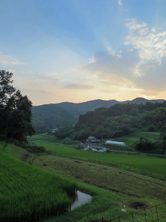 今年のトマト_d0231263_23514773.jpg