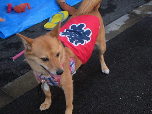 d0041865_77647.jpg