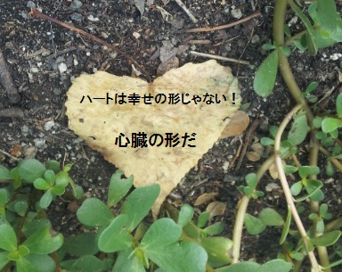 f0253473_8585820.jpg