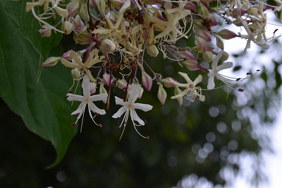 c0229483_91951.jpg