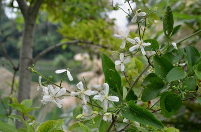 c0229483_9233538.jpg