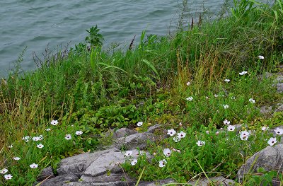 c0229483_9455822.jpg