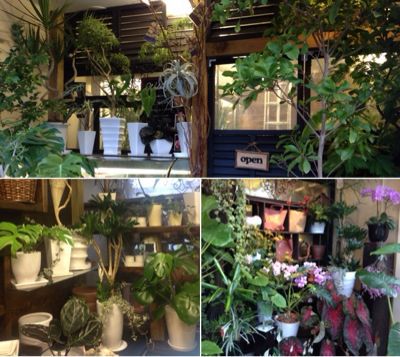 お花屋さん Grass のブログ