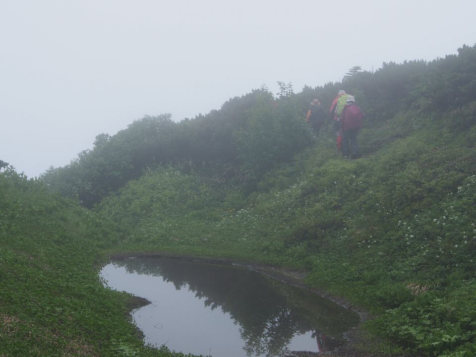 2013/夏山#2　白馬岳頂上宿舎→旭岳→清水岳・尾根→祖母谷温泉　07/28　大雨後ガス後時々小雨　単独_c0134193_16344922.jpg