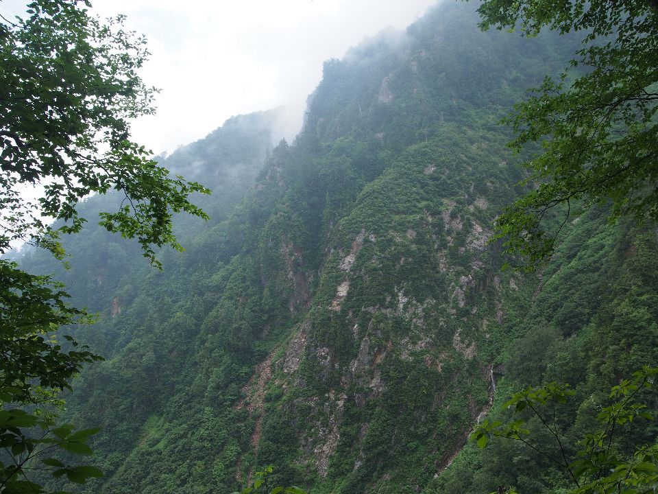 2013/夏山#2　白馬岳頂上宿舎→旭岳→清水岳・尾根→祖母谷温泉　07/28　大雨後ガス後時々小雨　単独_c0134193_1730541.jpg