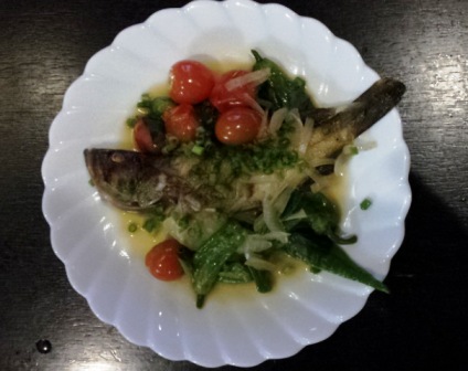 2013 キジハタ釣行2(上達の兆し)_f0163105_917812.jpg
