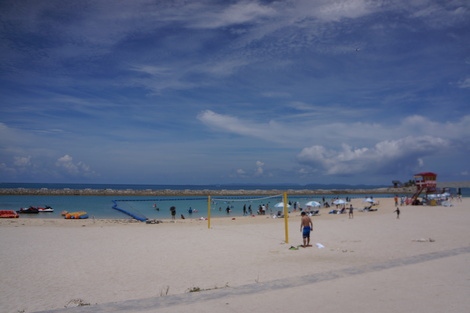 a0264007_1655348.jpg