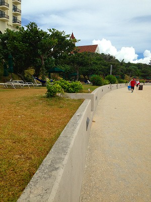 f0170524_815657.jpg