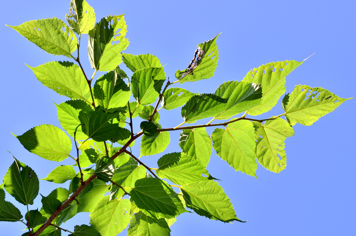 c0286530_22163471.jpg