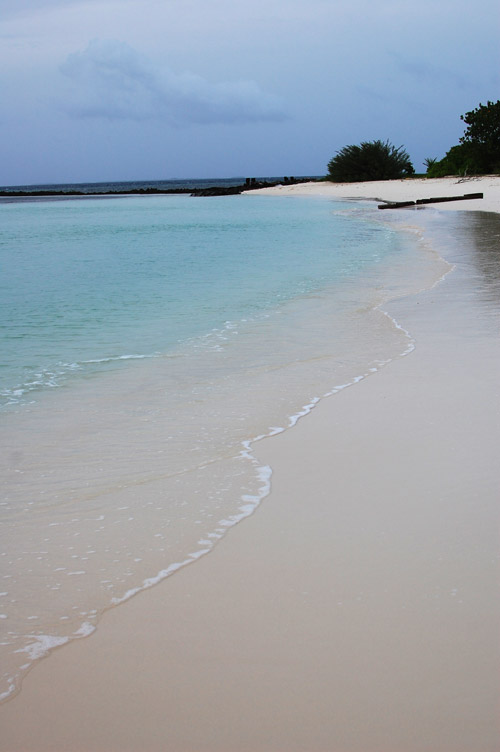 a0023740_22124267.jpg