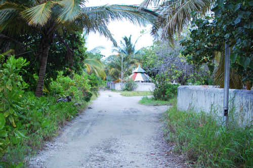 a0023740_2218511.jpg