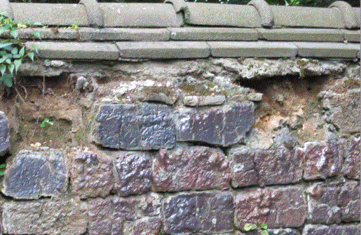 a0237545_221516100.gif