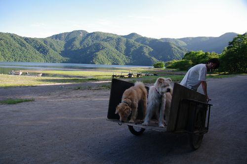 中禅寺湖キャンプ　－3日目－_a0299147_18525666.jpg