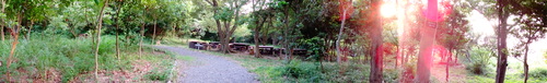 c0108460_2330391.jpg