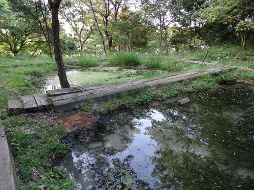 c0108460_23325378.jpg