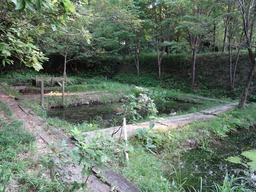 c0108460_2333359.jpg