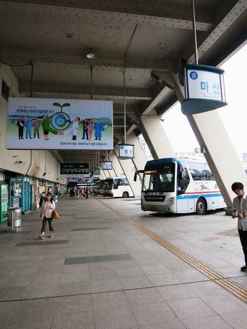 ７月ソウル旅 ⑪高速バスターミナル・花市場へ♪_f0236260_13444972.jpg